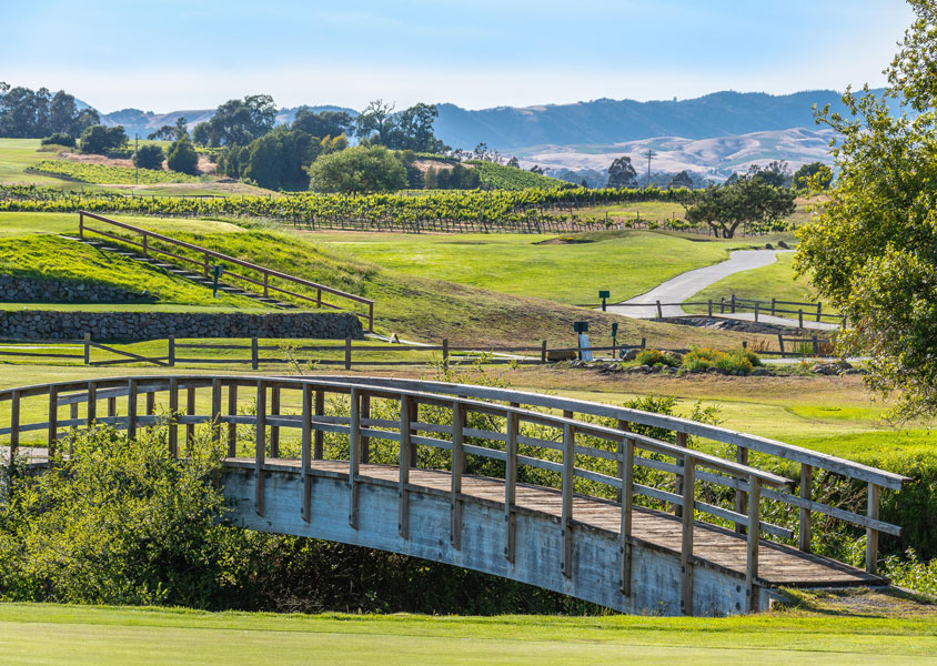 Enjoy-our-chardonnay-golf-club-&-vineyards