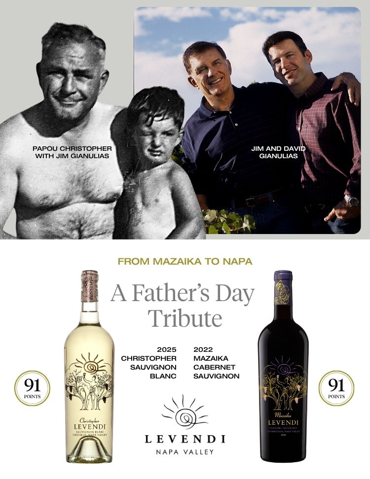 Desktop Homepage Banner Father's Day Mobile