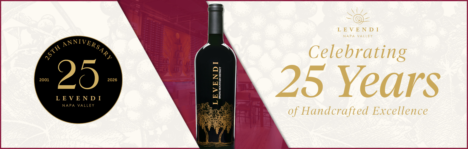25_anniversary_banner